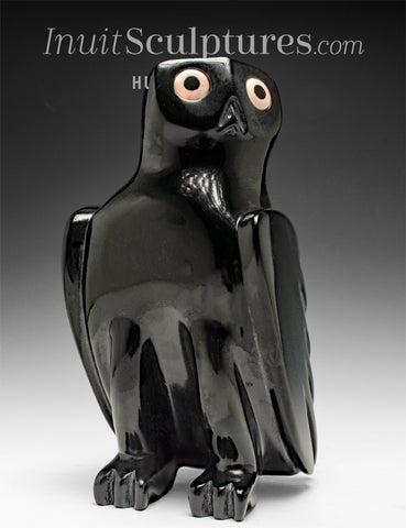 SIGNATURE 9" Hibou parfaitement poli par Sam Qiatsuk *Black Lava*