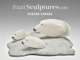 Ours polaires nageurs 7" par Mazdak Darehshoripour *Boules de neige*
