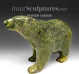 Ours marchant SIGNATURE 9" par Tim Pee *Lover Girl*