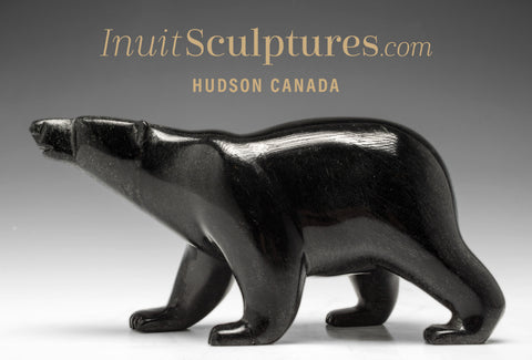 Ours marchant SIGNATURE 8" par Tim Pee *Calista*