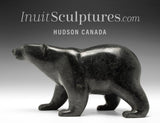 Ours marchant SIGNATURE 9" par Tim Pee *Sarasota*