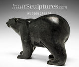 Ours marchant SIGNATURE 9" par Tim Pee *Sarasota*