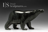 10" Walking Bear by Tim Pee *A Study in Calm*