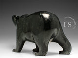 10" Walking Bear by Tim Pee *A Study in Calm*