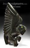 Chouette dansante SIGNATURE 26" par Toonoo Sharky *Burning the Midnight Oil*