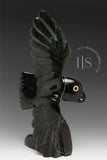 8" Owl by Toonoo Sharky "Loungewear"