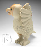 SIGNATURE 14" Oie dansante par Toonoo Sharky *Remerciements*