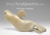7" Seal by Toonoo Sharky *Loungewear*