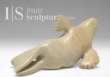 7" Seal by Toonoo Sharky *Loungewear*