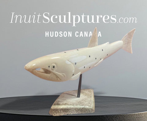 Truite d'Alaska de 15 pouces par Harrison Miklahook Jr *Steely Dan*