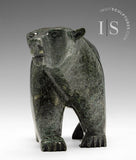Ours qui marche 6" par Moe Pootoogook *Intrepid*