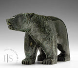 Ours qui marche 6" par Moe Pootoogook *Intrepid*