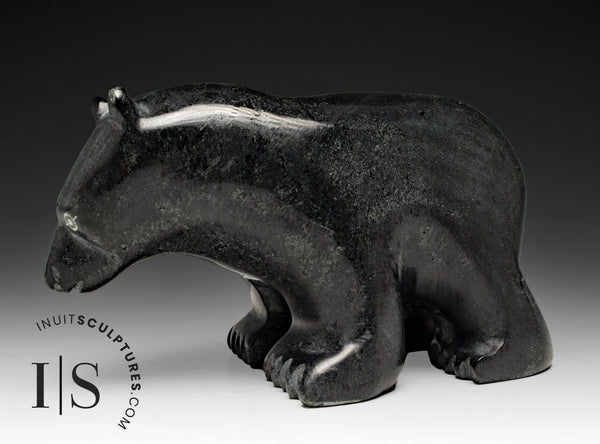 Ours qui marche 7" par Tony Oqutaq *Freelander*