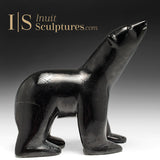 Ours qui marche 8" par Matt Flaherty *Collation de minuit*