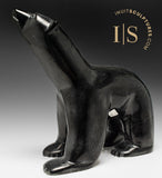 Ours qui marche 8" par Matt Flaherty *Collation de minuit*