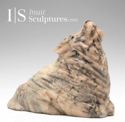 Loup au repos de 7 pouces par Chris Bourke *Xena*