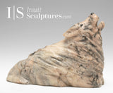 Loup au repos de 7 pouces par Chris Bourke *Xena*
