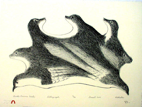 2000 BIRDS BECOME SEALS by Kakulu Saggiaktok