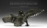 16" Hawk by Killiktee Killiktee *Heavens Above*