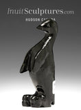 Pingouin 4" de Kelly Etidloie *Visiteur du pôle Sud*