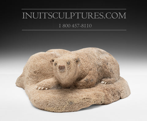 Ours polaire 10" par Inuk Charlie *Adoptez-moi*