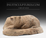 Ours polaire 10" par Inuk Charlie *Adoptez-moi*
