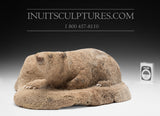 Ours polaire 10" par Inuk Charlie *Adoptez-moi*