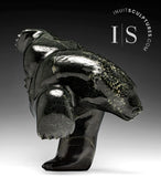 Ours de plongée 3 voies 13" par Isaaci Petaulassie *Amazing Grace"