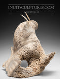 Morse 18" de Jaco Ishulutak *Sun Bather*