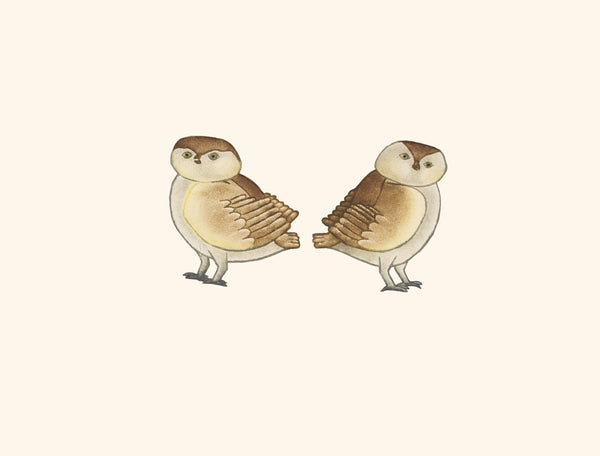 Dernière impression 2019 Owlettes par KILLIKTEE KILLIKTEE