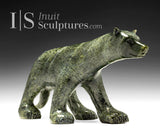 Loup 17" de Kelly Etidloie *Tyson*