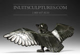 16" Hawk by Killiktee Killiktee *Heavens Above*