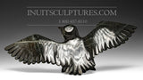 16" Hawk by Killiktee Killiktee *Heavens Above*