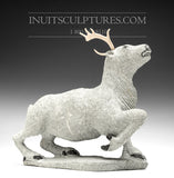 Caribou 11" par Natar Ungaluq *Jeune roi de la toundra*