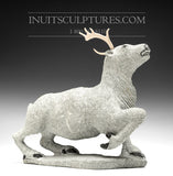 Caribou 11" par Natar Ungaluq *Jeune roi de la toundra*
