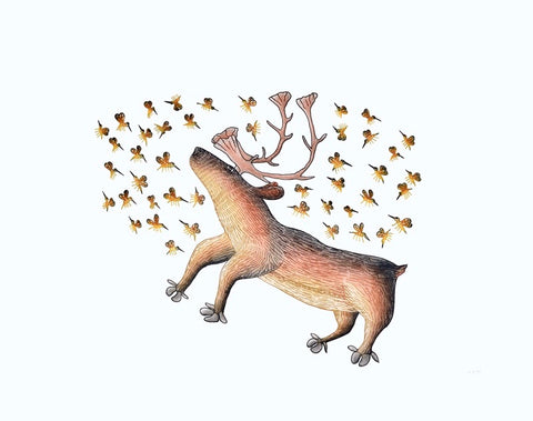 2017 SUMMER BUZZ by Cee Pootoogook