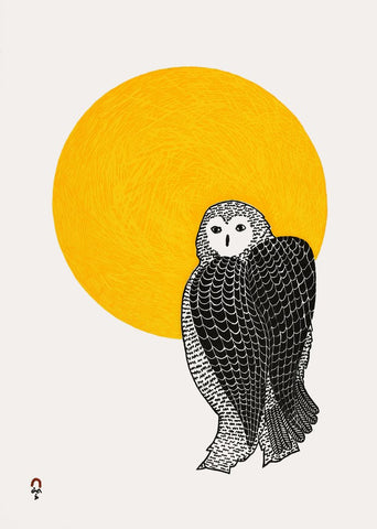 Hibou ensoleillé 2022 par PEE ASHEVAK