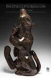 140 Lbs 30" Dark Brown Wolf Spirit  by Toonoo Sharky