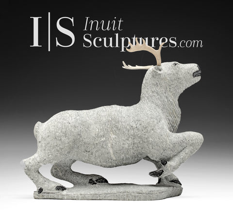 Caribou 11" par Natar Ungaluq *Jeune roi de la toundra*