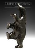 Ours dansant 16" par Etelu Ashevak *Slim*