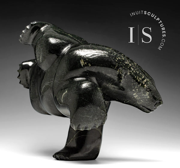 Ours de plongée 3 voies 13" par Isaaci Petaulassie *Amazing Grace"
