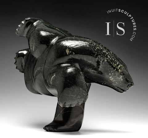 Ours de plongée 3 voies 13" par Isaaci Petaulassie *Amazing Grace"