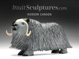 Bœuf musqué SIGNATURE 10" par Lucassie Ikkidluak *Hope*