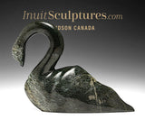 Cygne SIGNATURE 12" par Ning Ashoona *Votre Altesse*