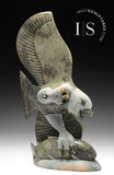 17" SIGNATURE Eagle &amp; Fish par Pits Qimirpik *Spring Training* CHOIX DU CONSERVATEUR