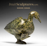 12" SIGNATURE Dancing Goose par Pudlalik Shaa *Révérence*