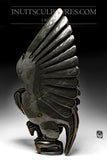 Chouette dansante SIGNATURE 26" par Toonoo Sharky *Burning the Midnight Oil*