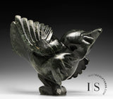 14" SIGNATURE Dancing Bird Spirit par Toonoo Sharky *Lucky* CHOIX DU CURATEUR